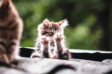 Similar image 22210899