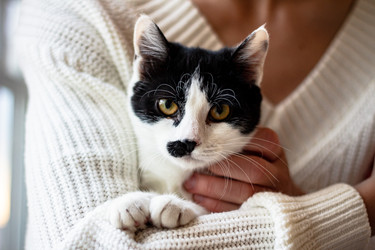 Similar image 22210901