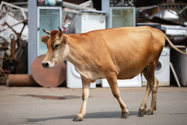 Similar image 22226708