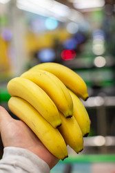 Similar image 22226713