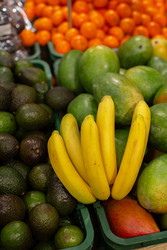 Similar image 22226714