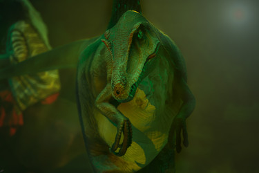 Similar image 22226277