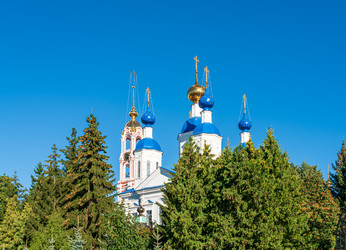 Similar image 22223503