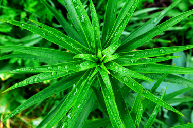 Similar image 22210728