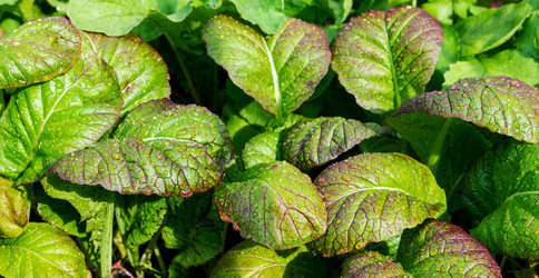 Similar image 22226073