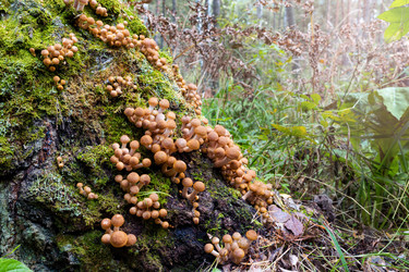 Similar image 22226074