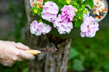 Similar image 22211284