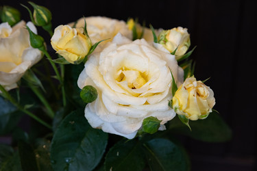 Similar image 22211286