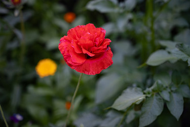 Similar image 22211287