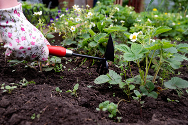 Similar image 22211291