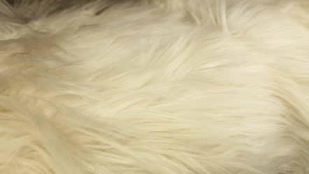 Similar image 22219201