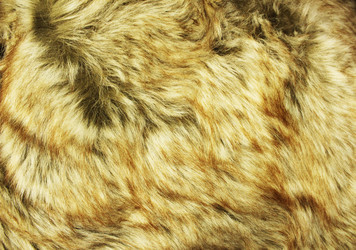 Similar image 22219206