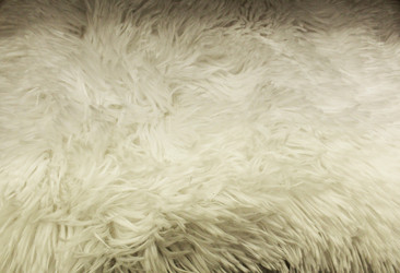 Similar image 22219208