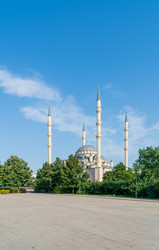 Similar image 22223699