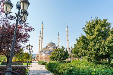 Similar image 22223706