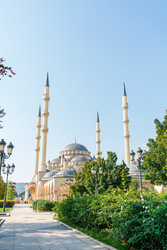 Similar image 22223715