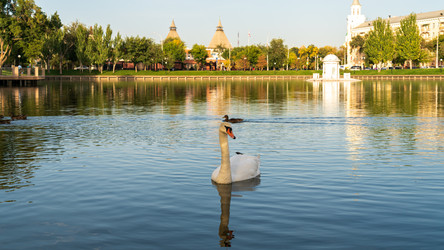 Similar image 22223625