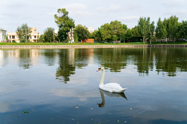 Similar image 22223643