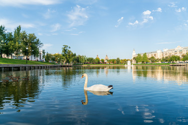 Similar image 22223645