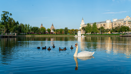 Similar image 22223724