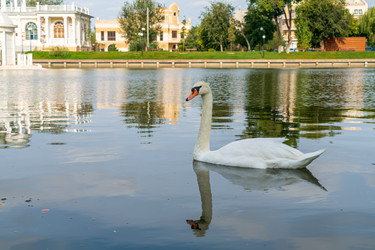 Similar image 22223726