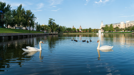 Similar image 22223728