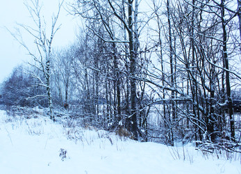 Similar image 22219212