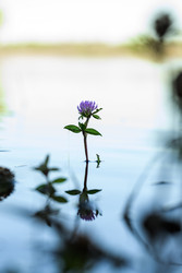 Similar image 22211488