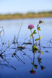 Similar image 22211489