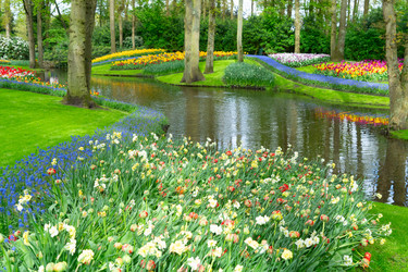 Similar image 22232683