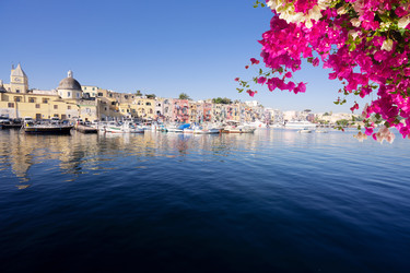 Similar image 22232687