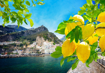 Similar image 22232692