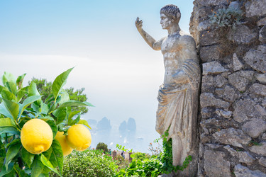 Similar image 22232695