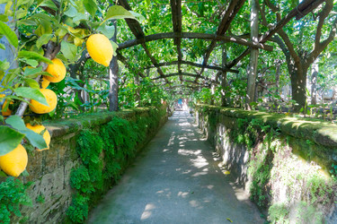 Similar image 22232784