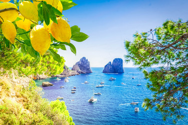 Similar image 22232786