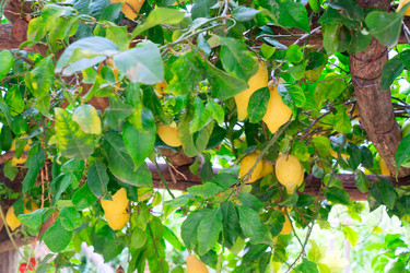 Similar image 22232799