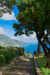 Similar image 22232800