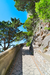 Similar image 22232804