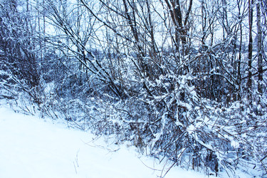 Similar image 22219214