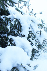 Similar image 22219220