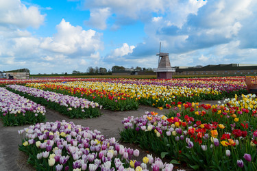 Similar image 22232805