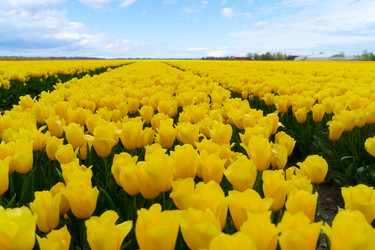 Similar image 22232808