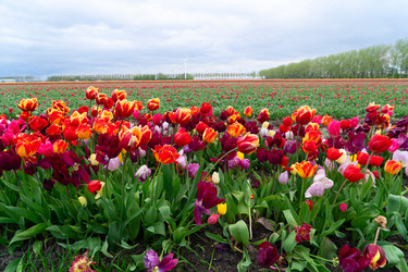 Similar image 22232809