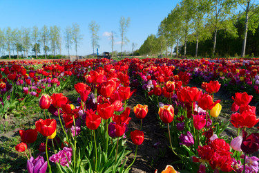 Similar image 22232810