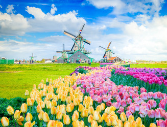 Similar image 22232812