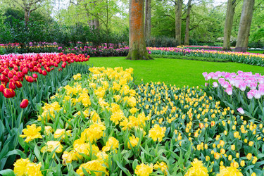 Similar image 22232814