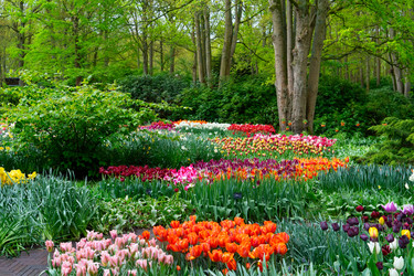 Similar image 22232815