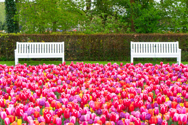 Similar image 22232816