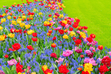 Similar image 22232819