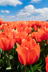 Similar image 22232820